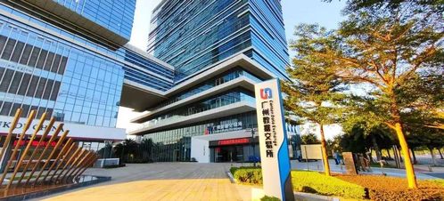 掘金數字經濟，肇慶掌握發展秘鑰